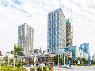 享受独特的品茶体验